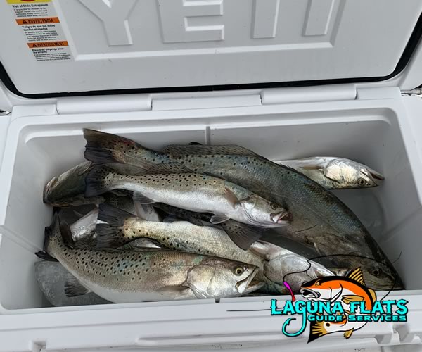 Fishing guide services for Baffin Bay